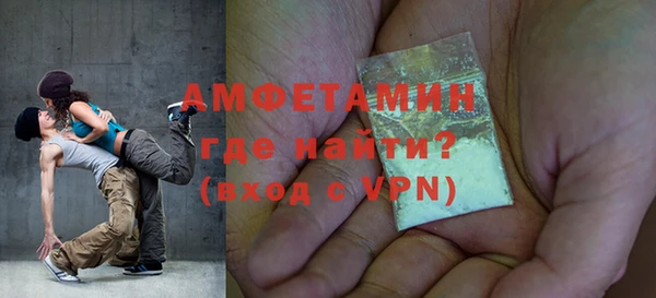 молекула духа Вяземский